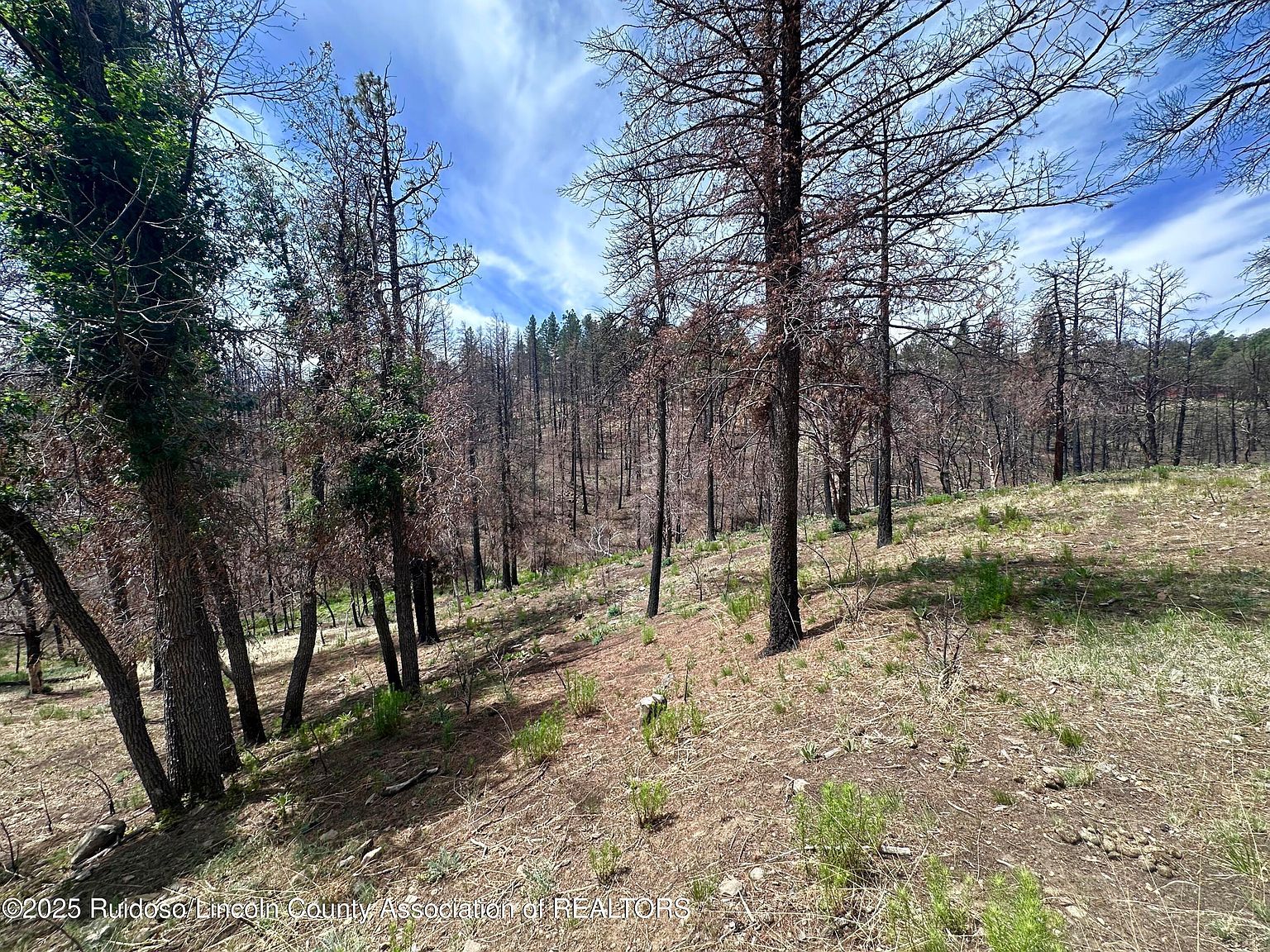 11 Alpine Village Rd Ruidoso, NM 88345 - Thumbnail 5