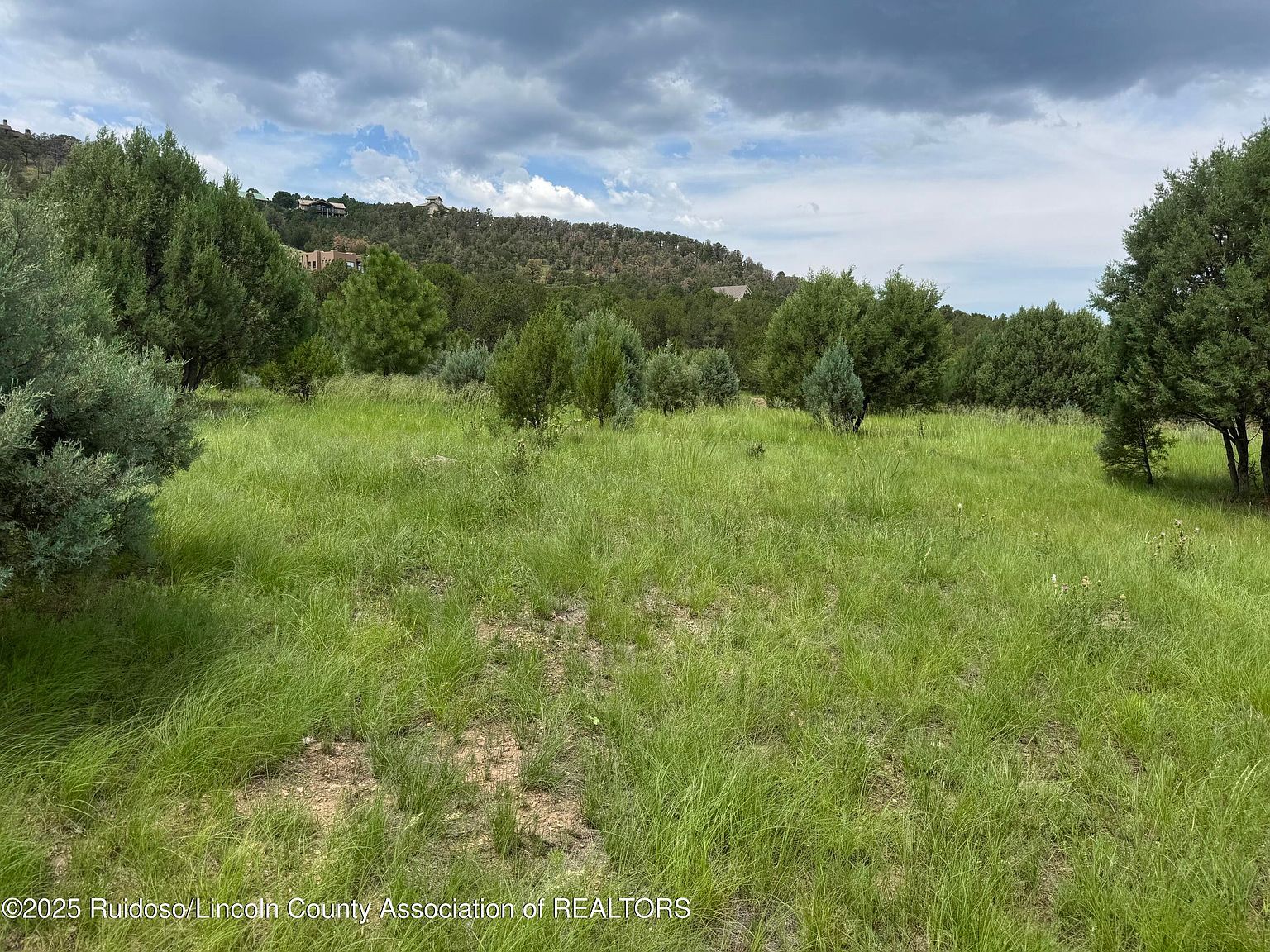153 Deer Valley Dr Alto, NM 88312 - Thumbnail 5
