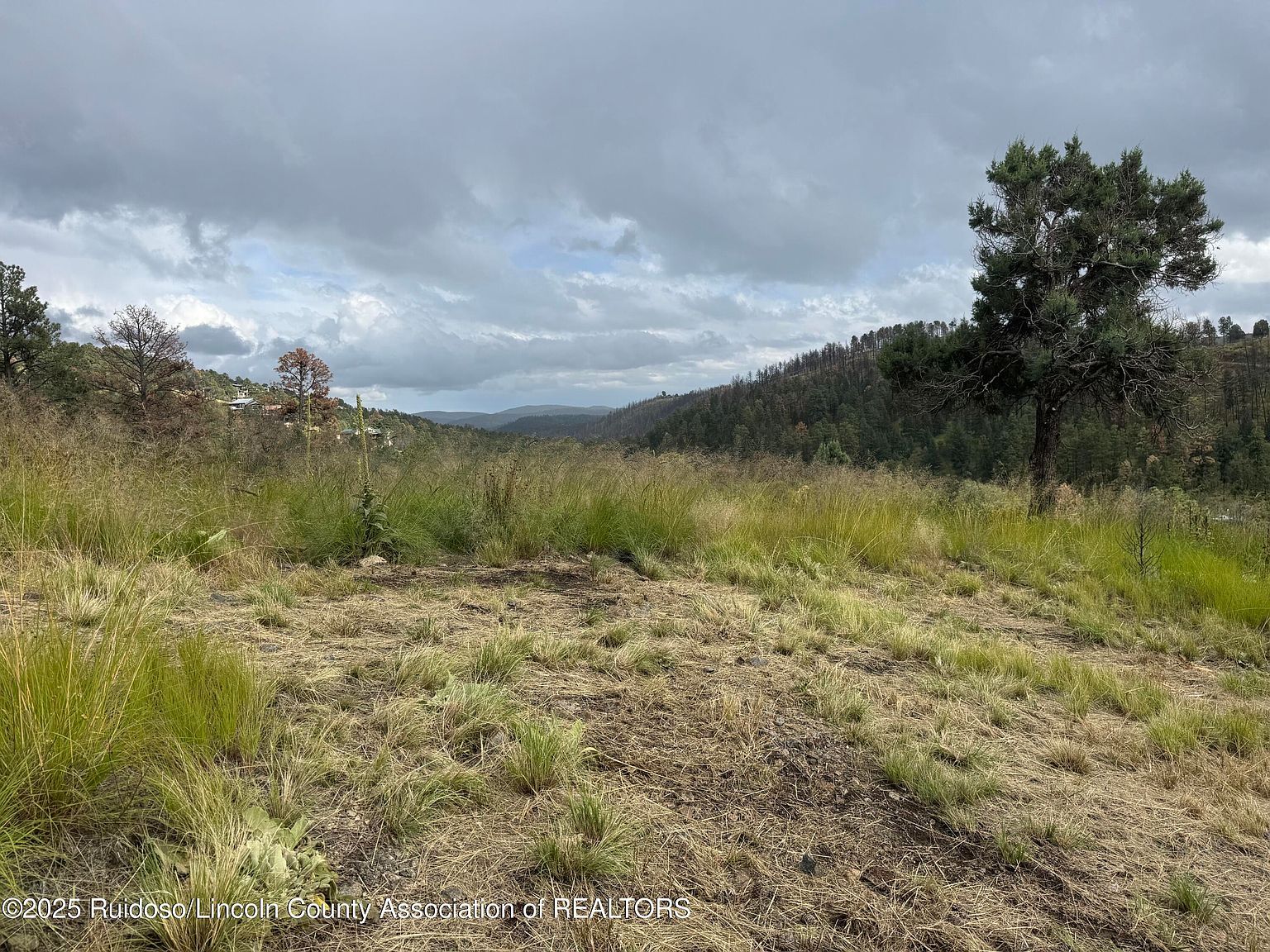 206 Sunset Dr Alto, NM 88312 - Thumbnail 5