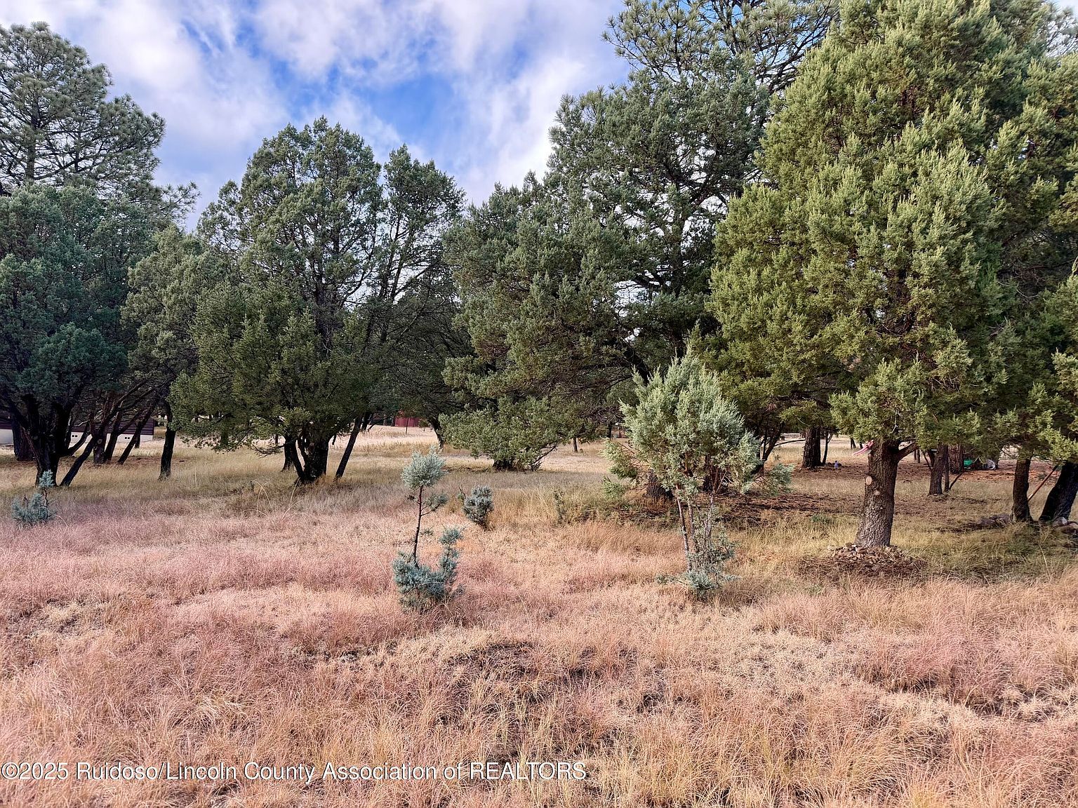 109 Mira Monte Rd Alto, NM 88312 - Thumbnail 5