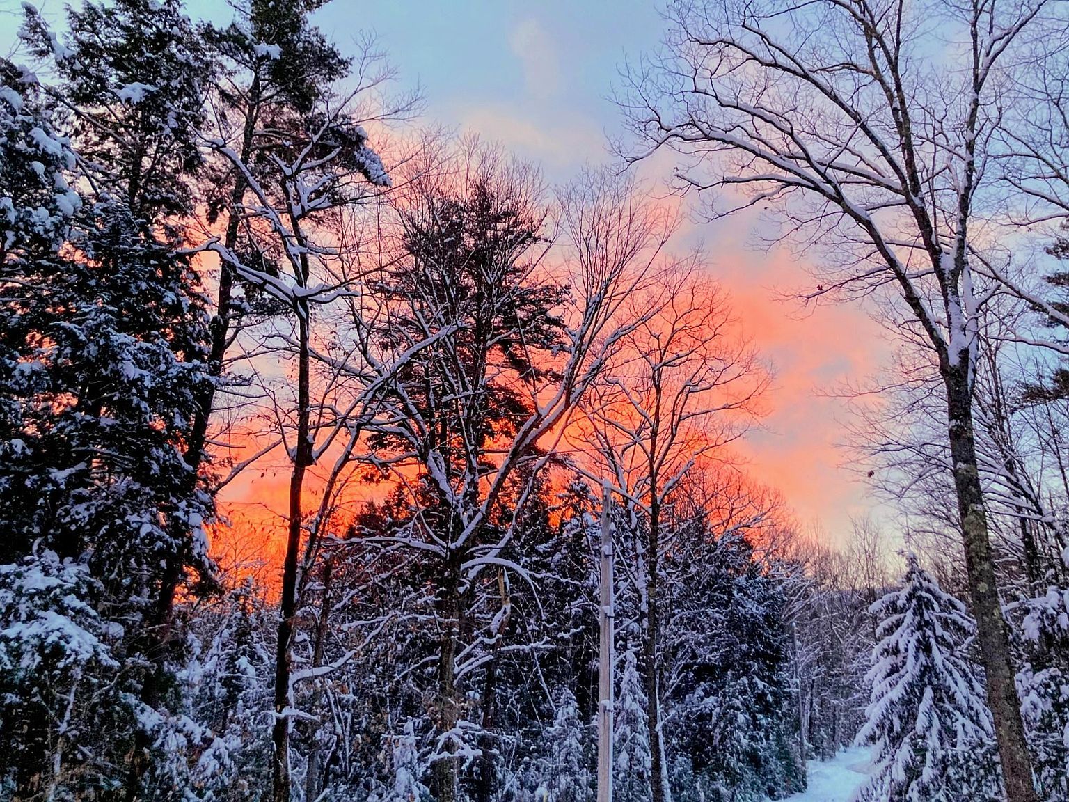 5 Windgate Terrace 136 #&-137 Woodsville, NH 03785 - Thumbnail 5