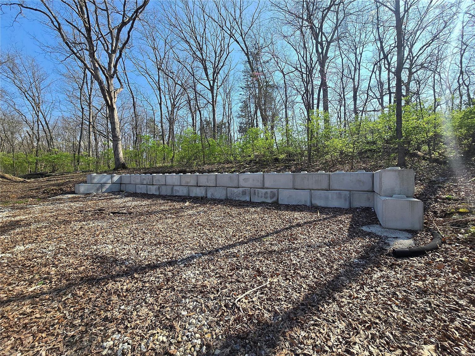 6518 S Lakeshore Dr Hillsboro, MO 63050 - Thumbnail 5