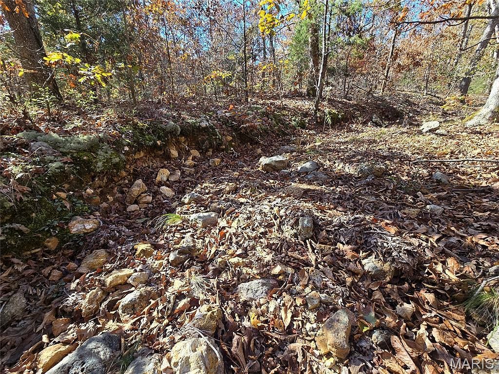 107 Railroad Ln Doe Run, MO 63637 - Thumbnail 5