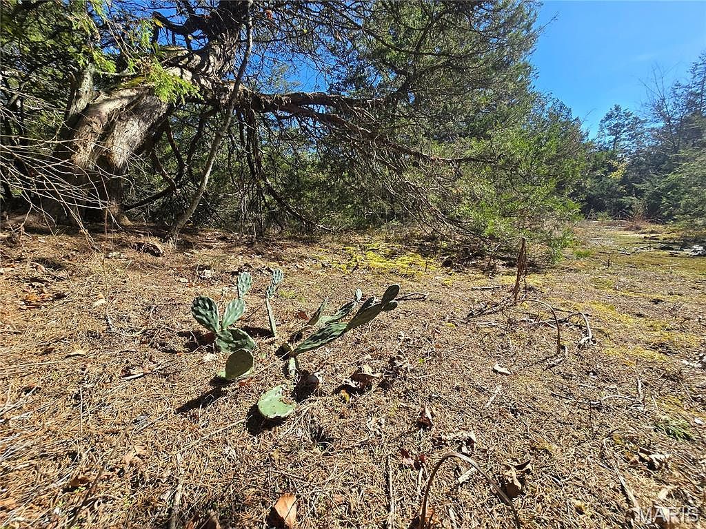 42 Highway 32 Bismarck, MO 63624 - Thumbnail 5