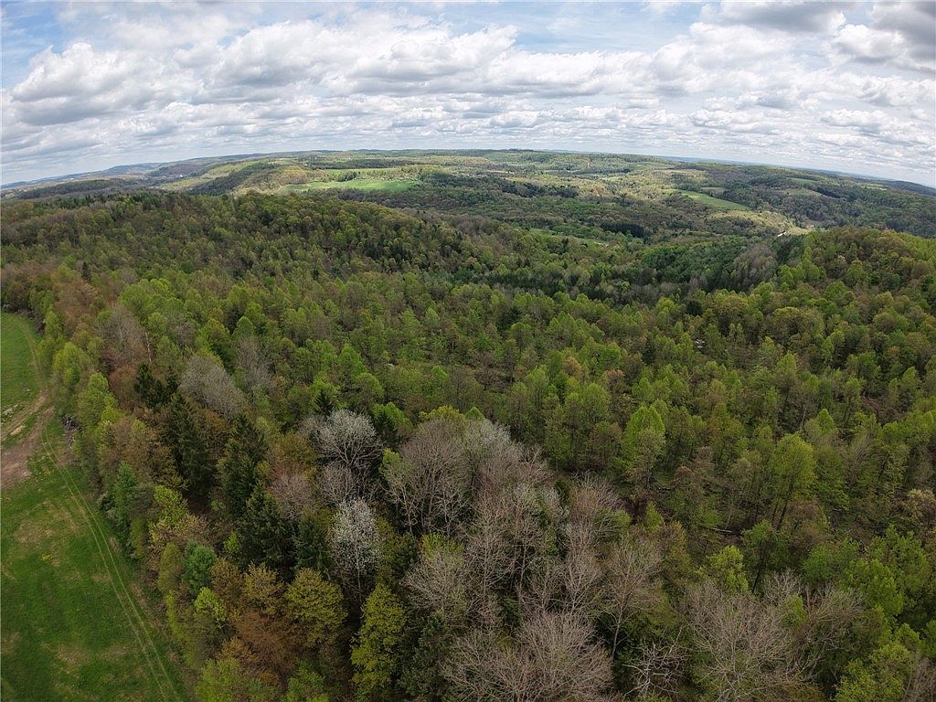 0 Lower Mudlic Rd Mayport, PA 16240 - Thumbnail 5