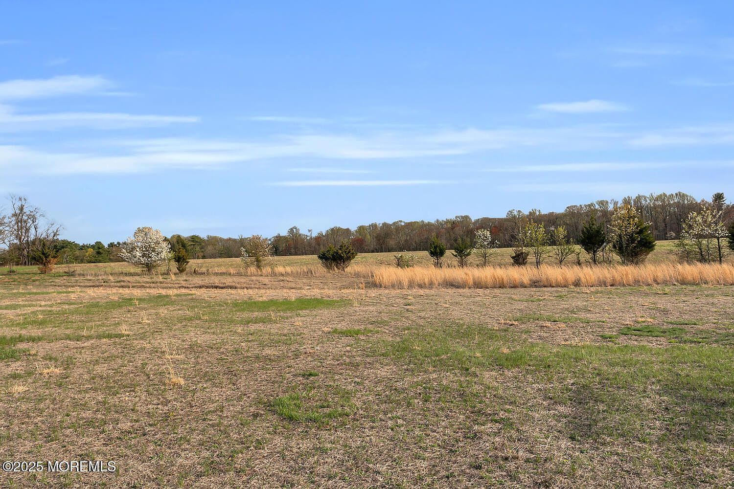 155 Robertsville Rd Freehold, NJ 07728  | Single Family