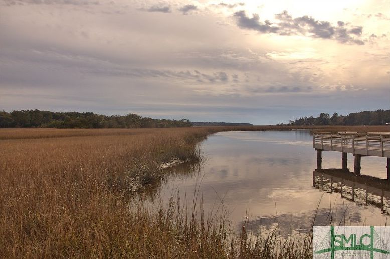 352 Harbour Ln Richmond Hill, GA 31324  | Single Family