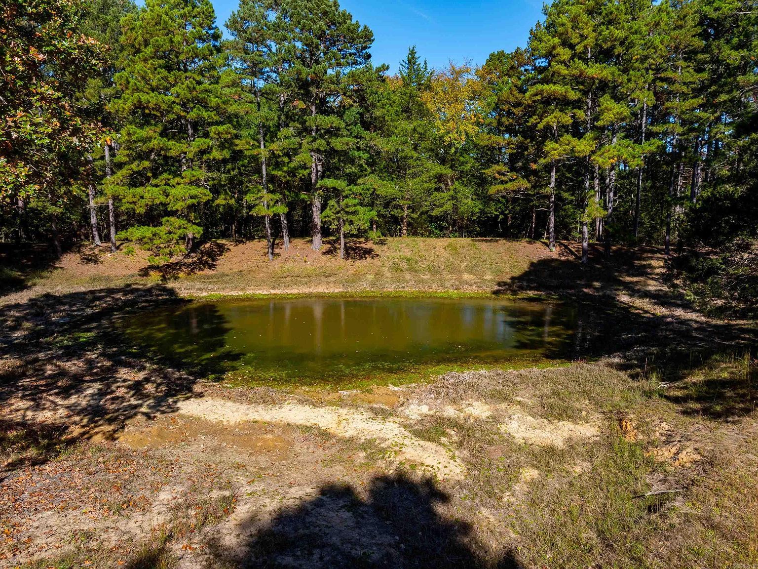 34 Sorrell Rd Cave City, AR 72521  | Single Family