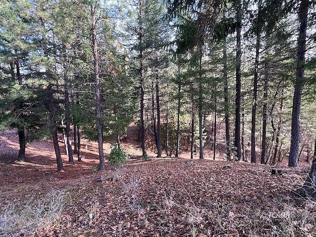 611 Dobbins Crk Hayfork, CA 96041  | Single Family