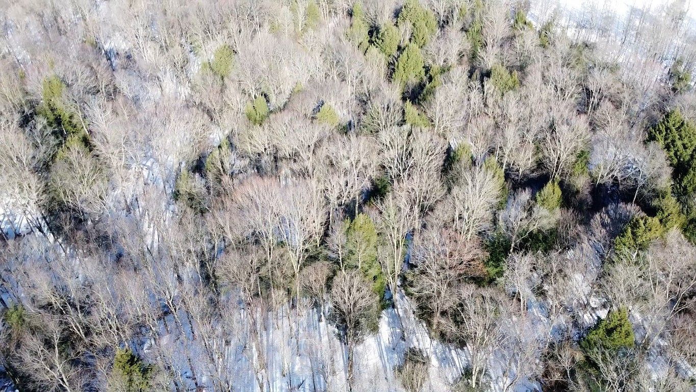 680 Hull Rd Waterford, PA 16441  | Single Family