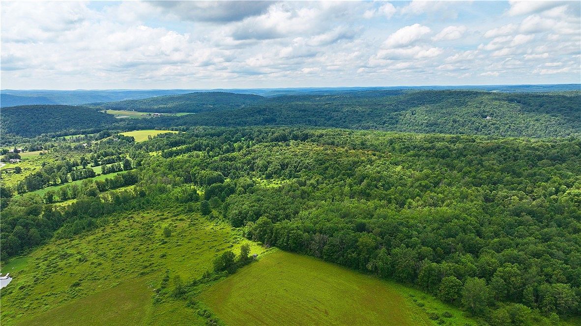 0 Painter Hill Rd Oxford, NY 13830 | Land/Lot