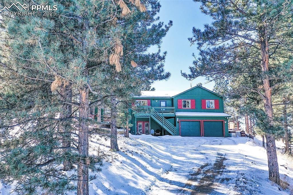 517 Crystal Peak Rd Florissant, CO 80816 | Single Family