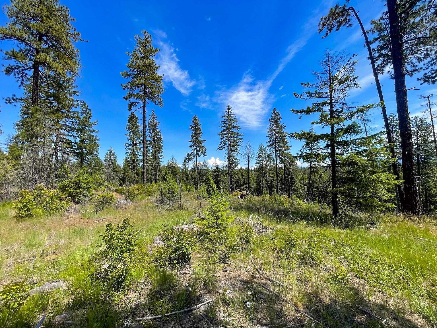 54XX Northshore Diamond Lake Rd Newport, WA 99156 | Land/Lot