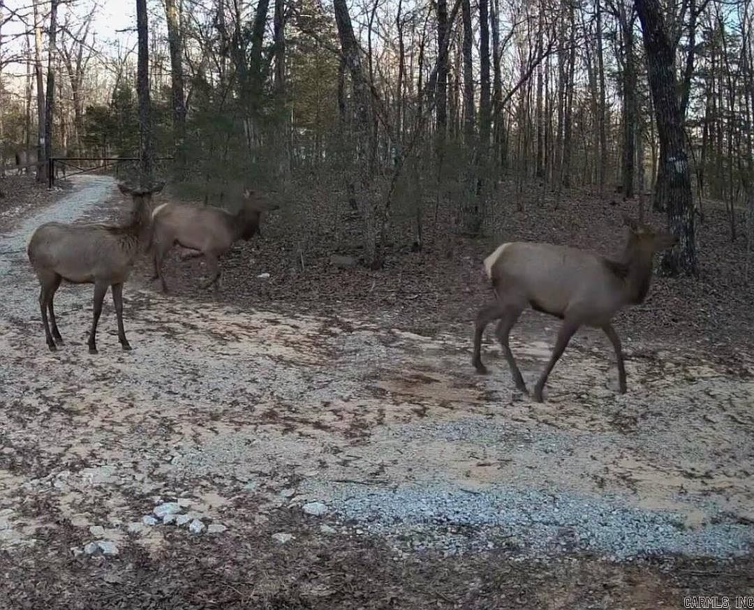 (undisclosed Address) Marble Falls, AR 72648 | Single Family