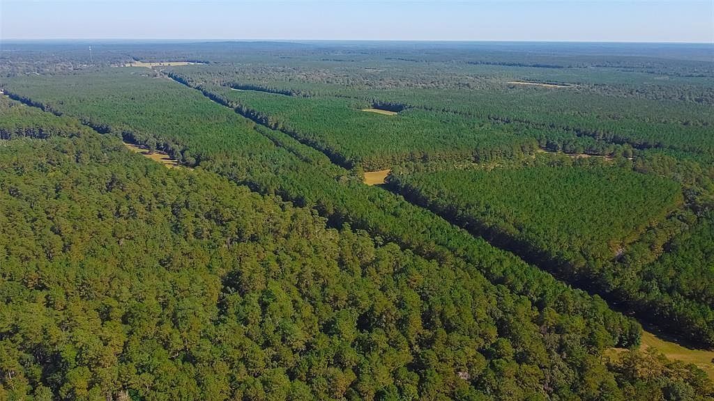 2551 County Road 2317 Dayton, TX 77535 | Single Family