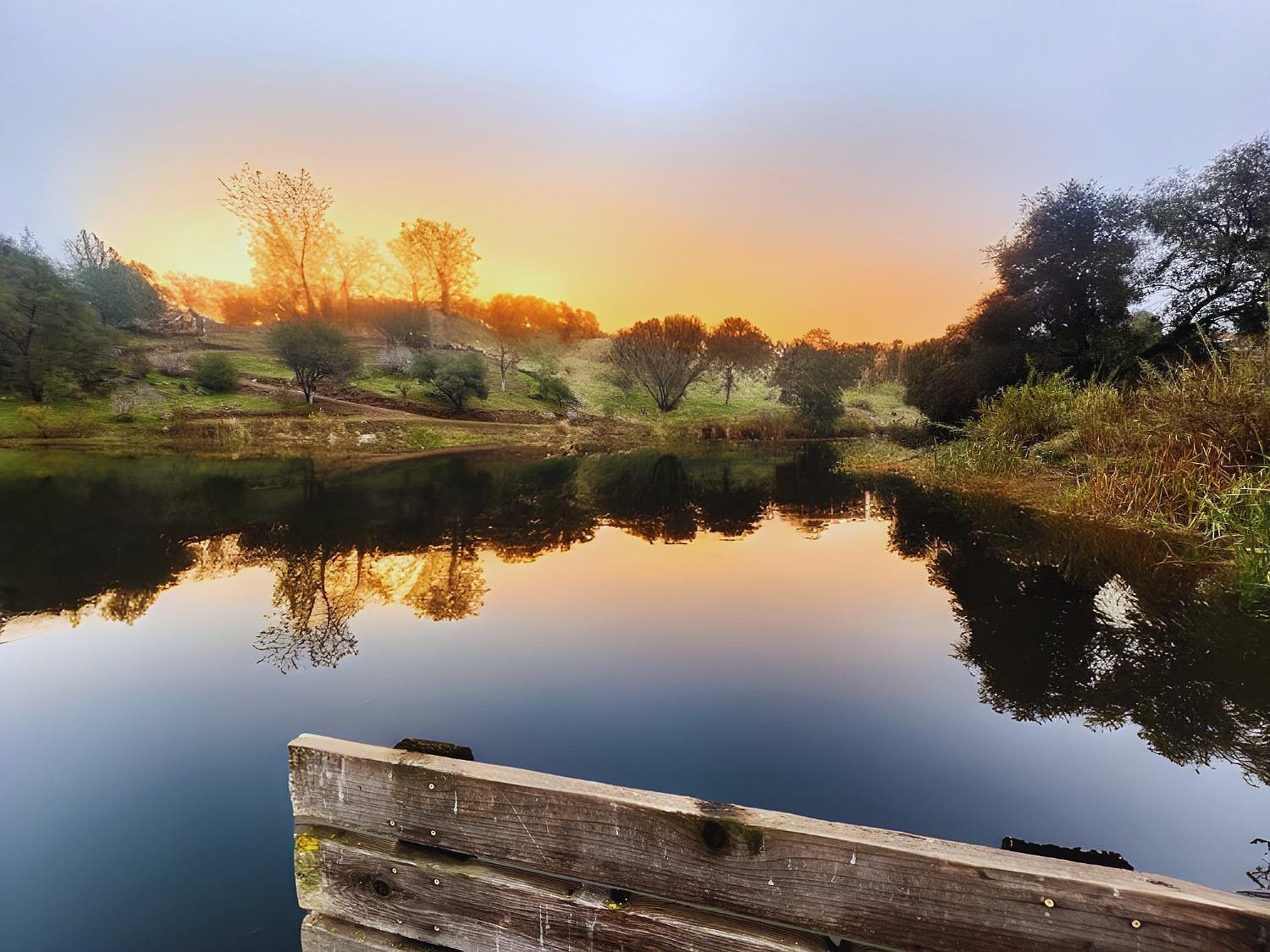 3223 Wild Rose Ct Catheys Valley, CA 95306 | Single Family