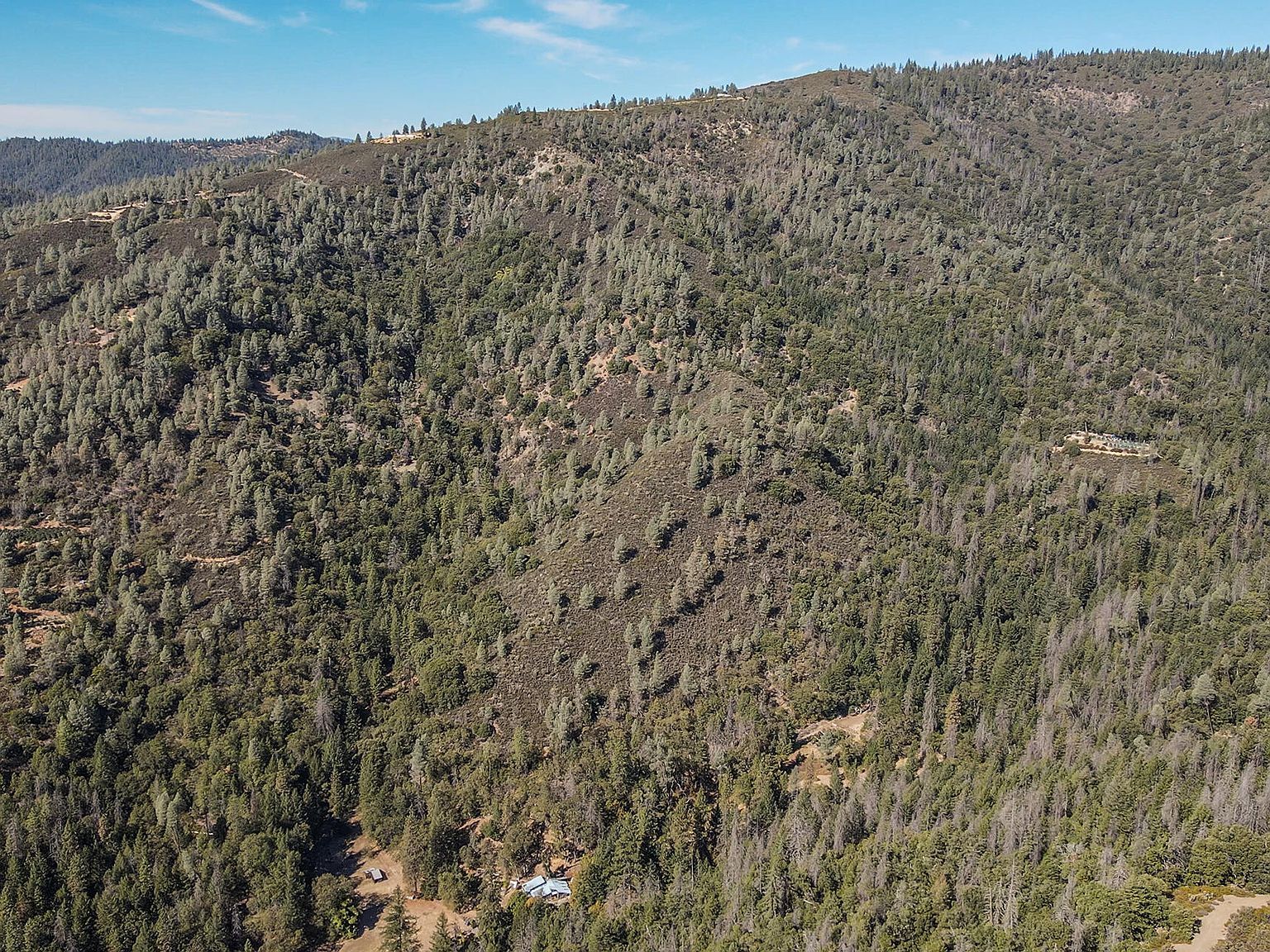 751 Mule Gulch Rd Douglas City, CA 96024  | Single Family