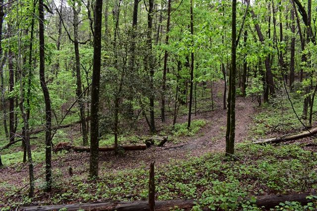 0 Glenridge Dr. Lot 57, Cleveland, GA, 30528  | Land/Lot