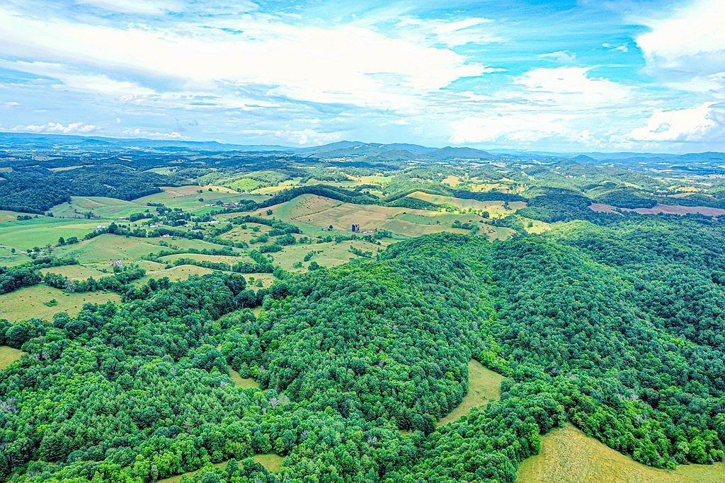 4662 Cedar Springs Rd Rural Retreat, VA 24368  | Land/Lot