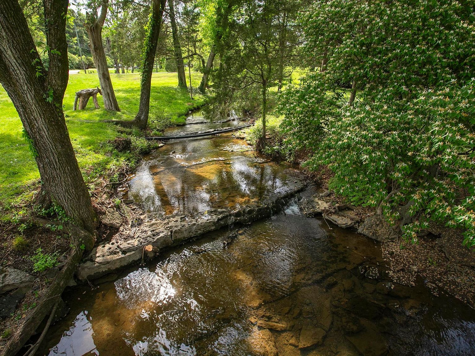 8344 Highway 100 Nashville, TN 37221  | Single Family