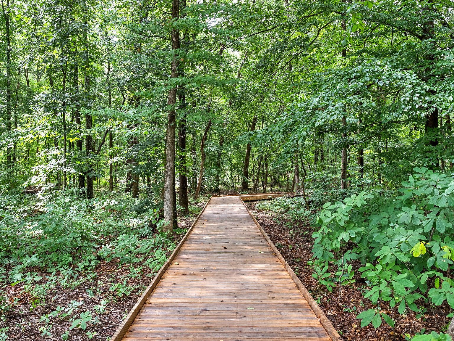 1147 Chagford Dr Clarksville, TN 37043 | Single Family