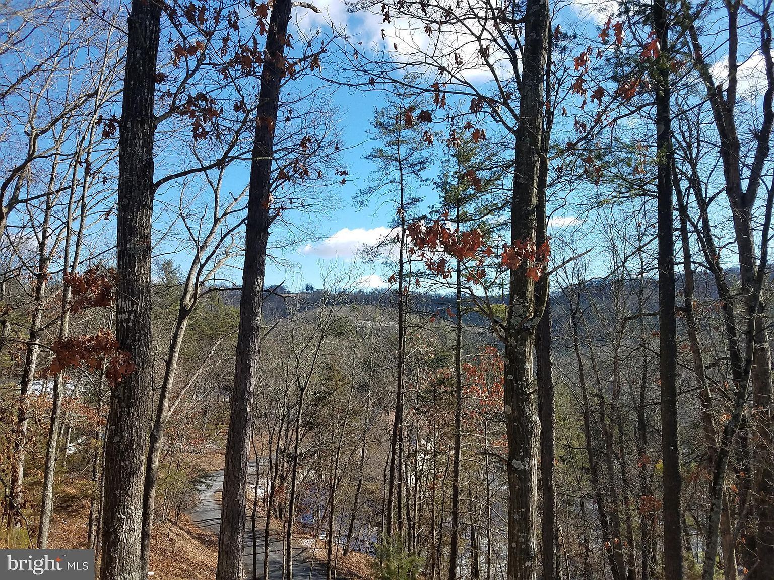 65 Nelson Way Basye, VA 22810 | Single Family