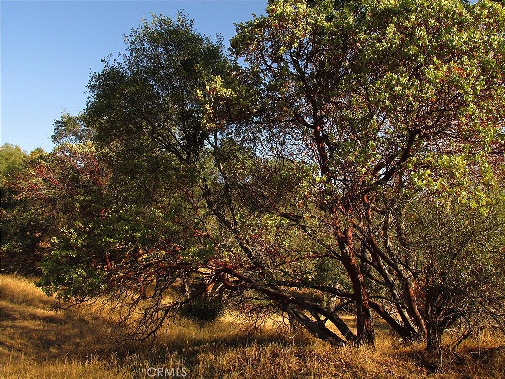 Old Oaks Ct LOT 3 North Fork, CA 93643  | Land/Lot