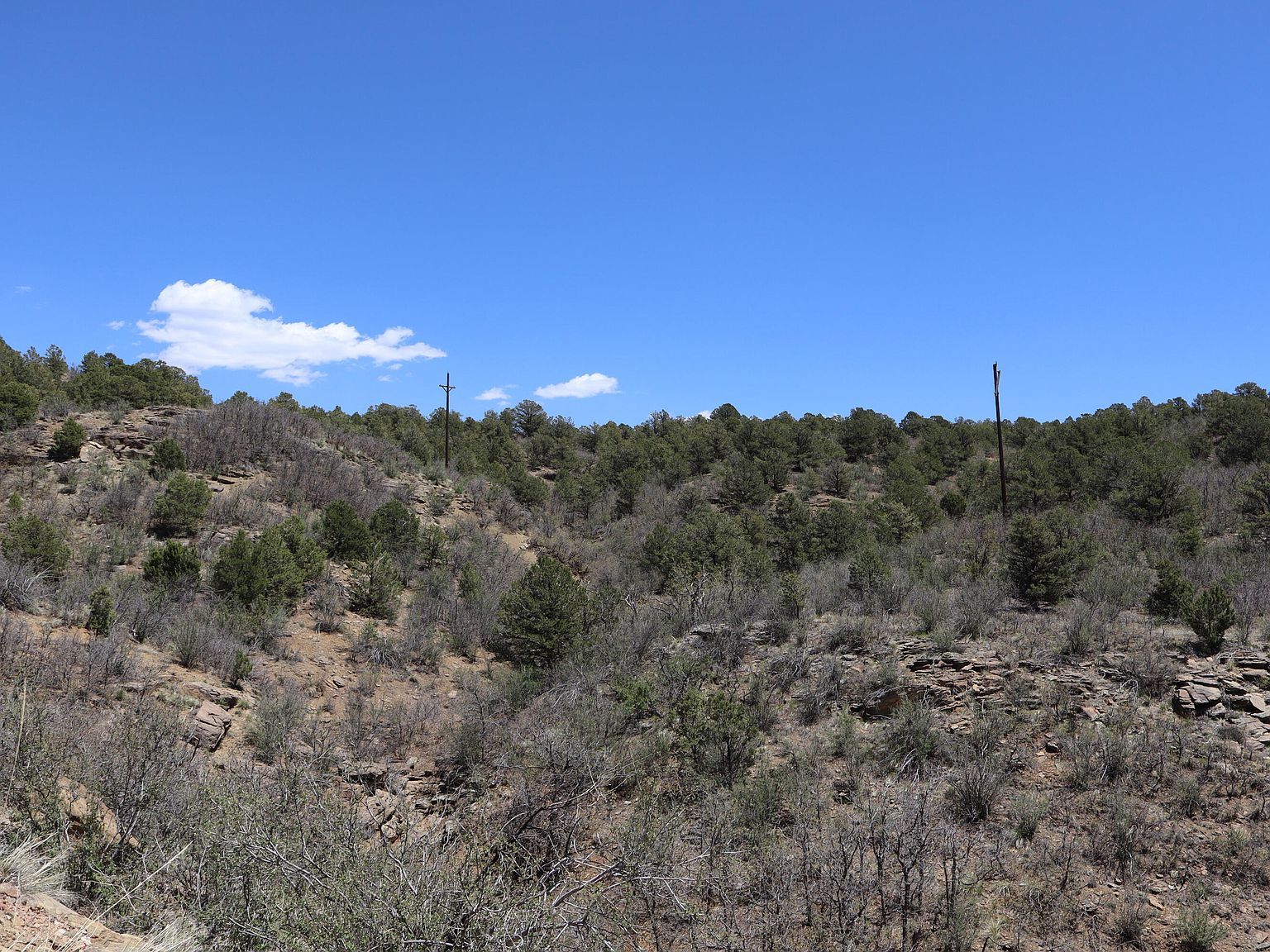 12101 Elk Run Rd Trinidad, CO 81082  | Land/Lot