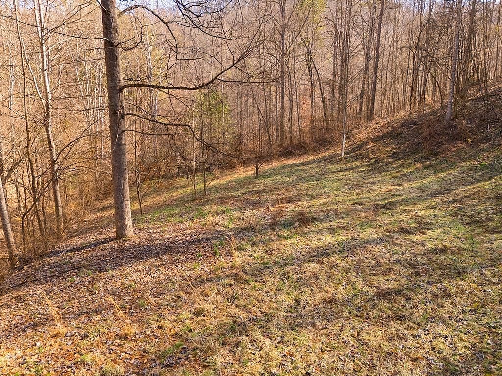 418 Trace Fork Rd Jackson, KY 41339 | Single Family