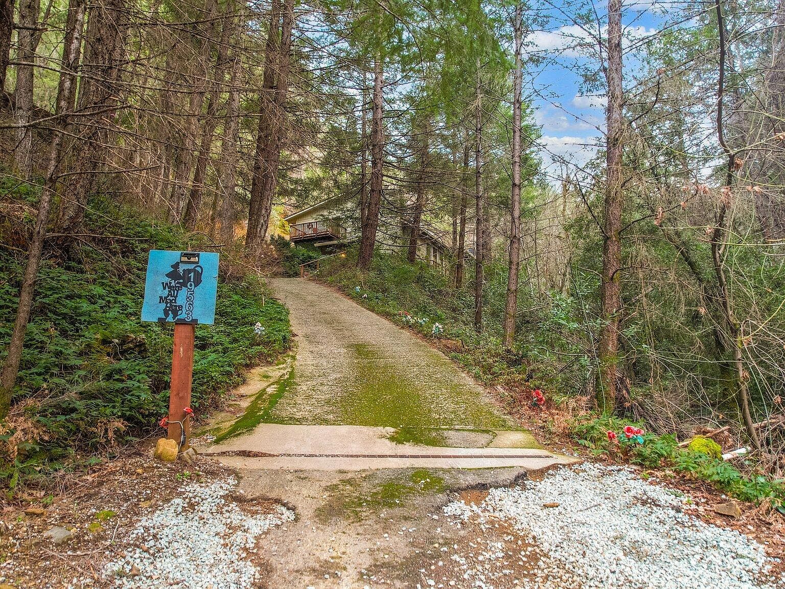 19563 Roaring Brook Way Lakehead, CA 96051  | Single Family