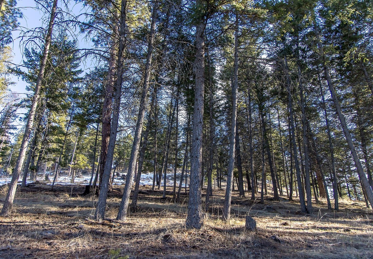 115 Shawwood Ln Kalispell, MT 59901  | Single Family