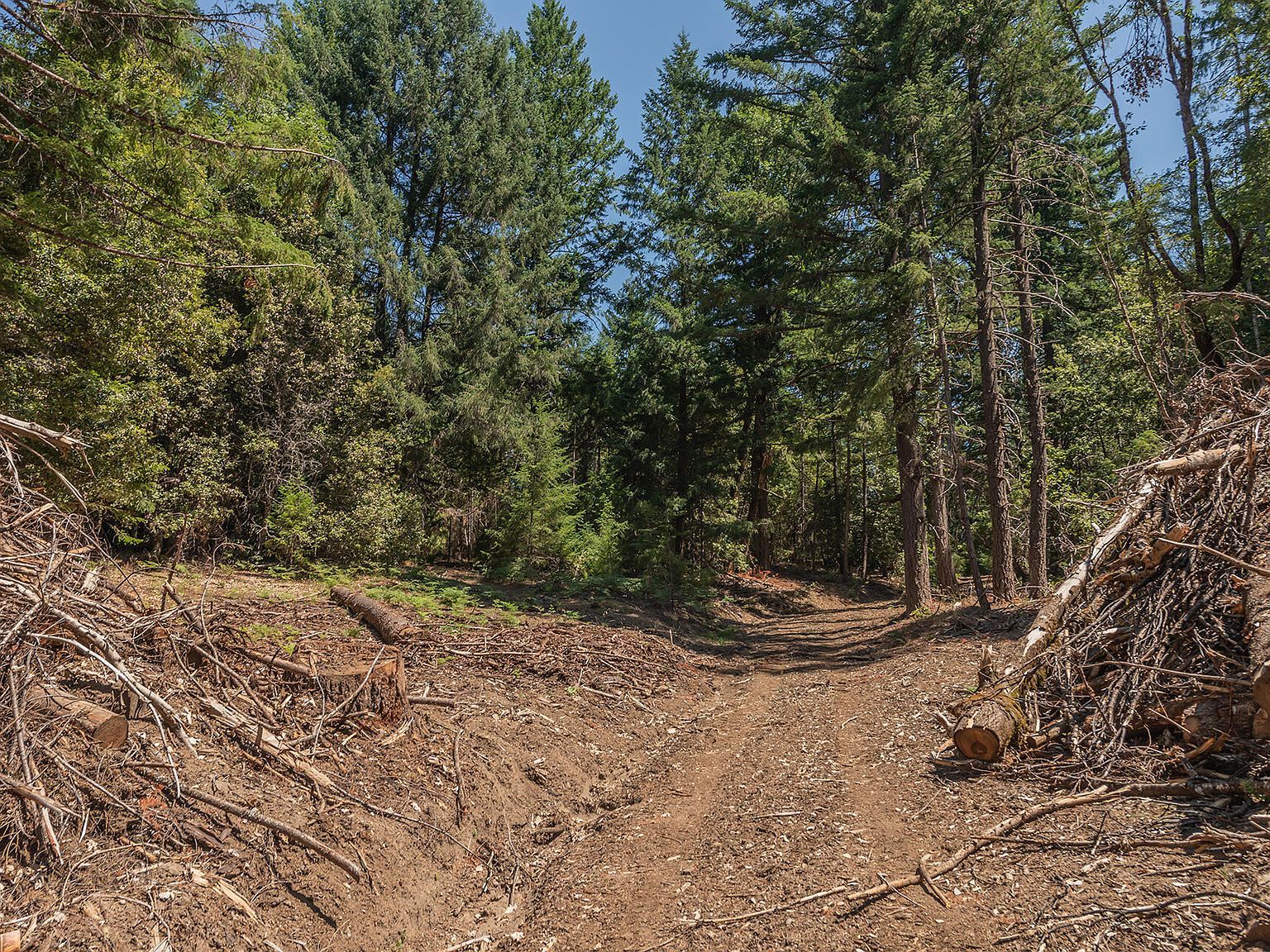 6900 Line Gulch Rd Zenia, CA 95595  | Land/Lot