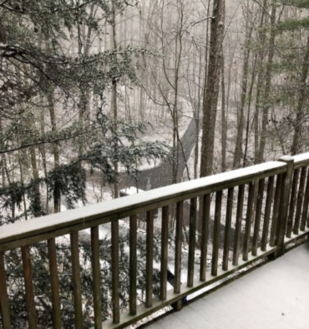 65 Dogwood Ln Ellijay, GA 30540 | Single Family