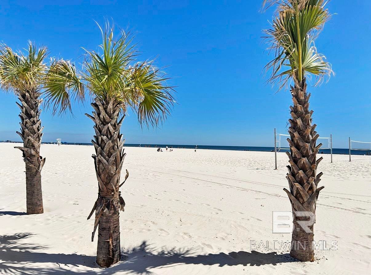 920 W Lagoon Ave #C-202 Gulf Shores, AL 36542  | Condominium