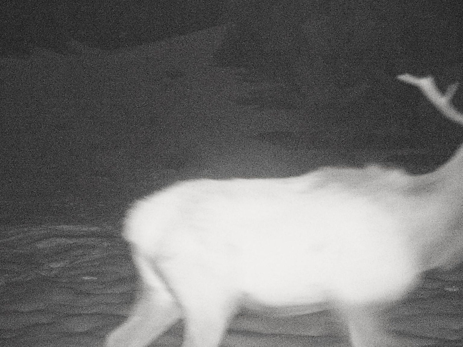 751 County Rd #634.2 Gardner, CO 81040  | Single Family