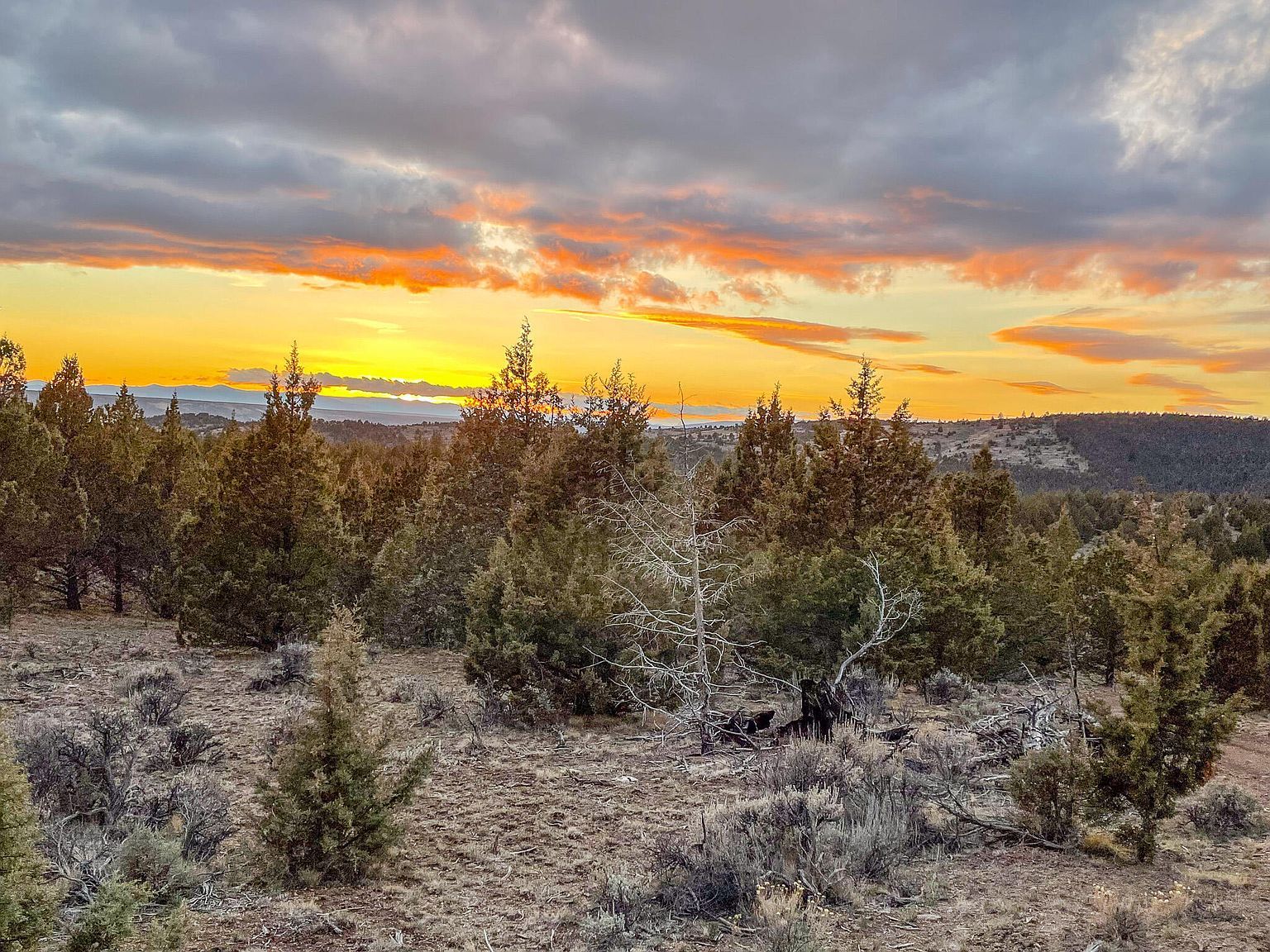 25405 SE Bear Creek Rd Prineville, OR 97754  | Single Family