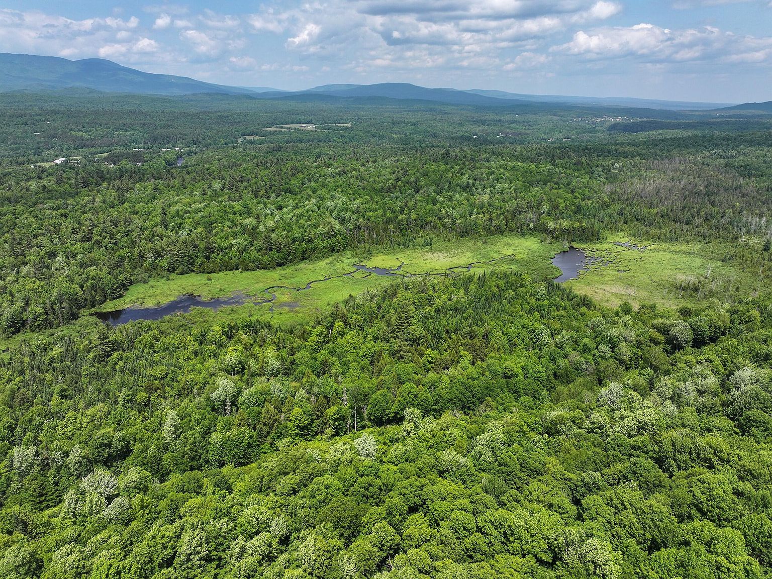 733 Ore Bed Rd Black Brook, NY 12912  | Single Family