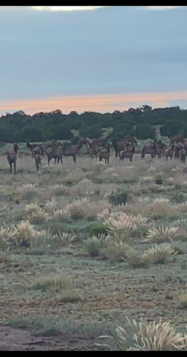 738 Moreno Hill Rd Fence Lake, NM 87315  | New build