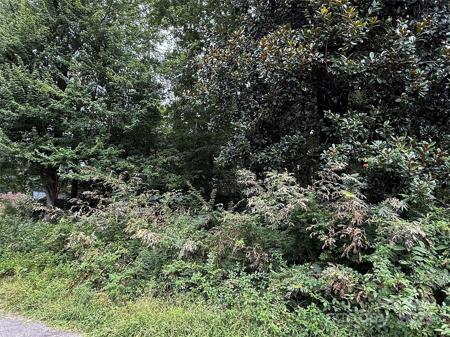 113-119 Byrd St Morganton, NC 28655 | Land/Lot