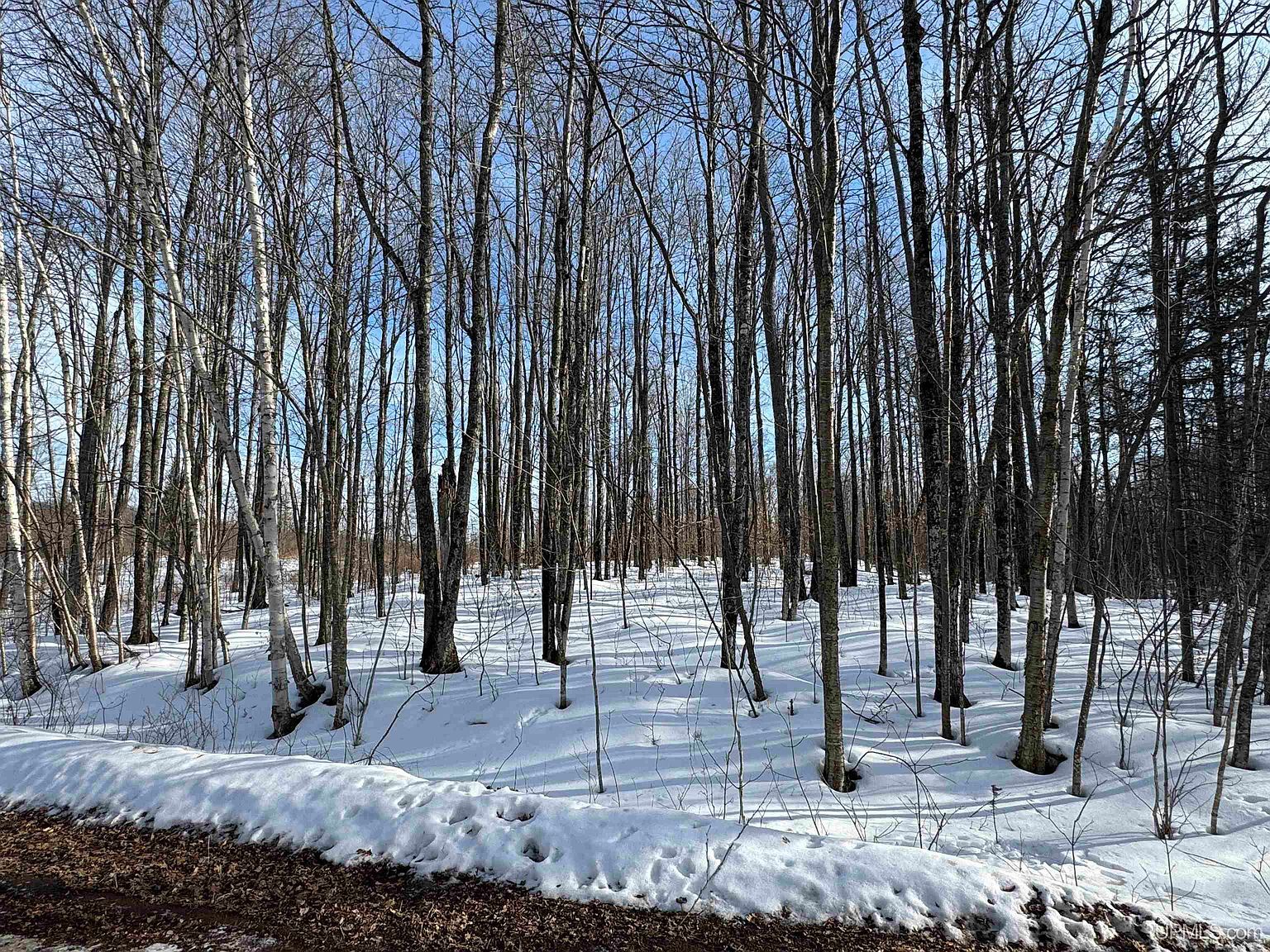LOT 64 Little Deer Rd Iron River, MI 49935  | Land/Lot
