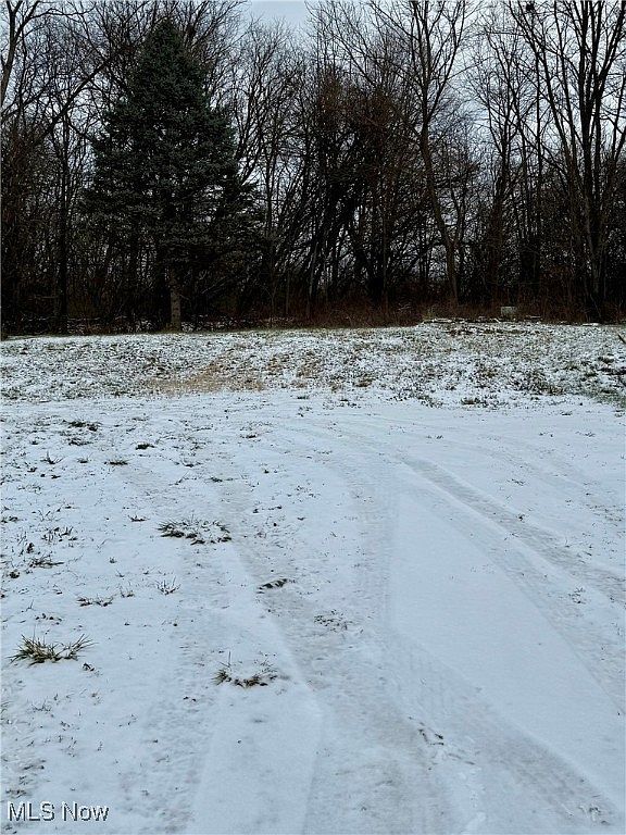 3028 Dearborn Ave Youngstown, OH 44510  | Land/Lot