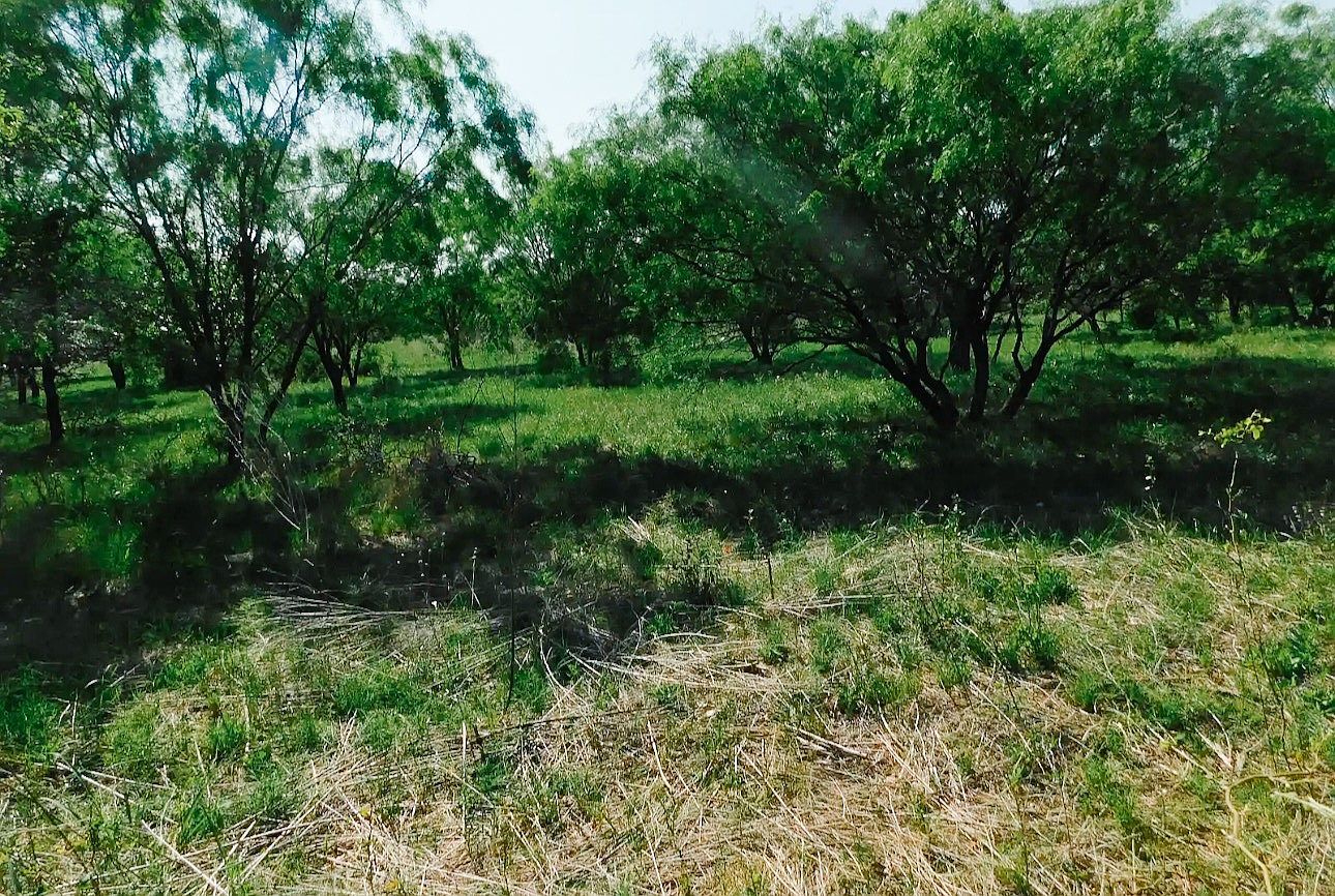 LOT 11 Morris Sheppard Dr Brownwood, TX 76801  | Land/Lot