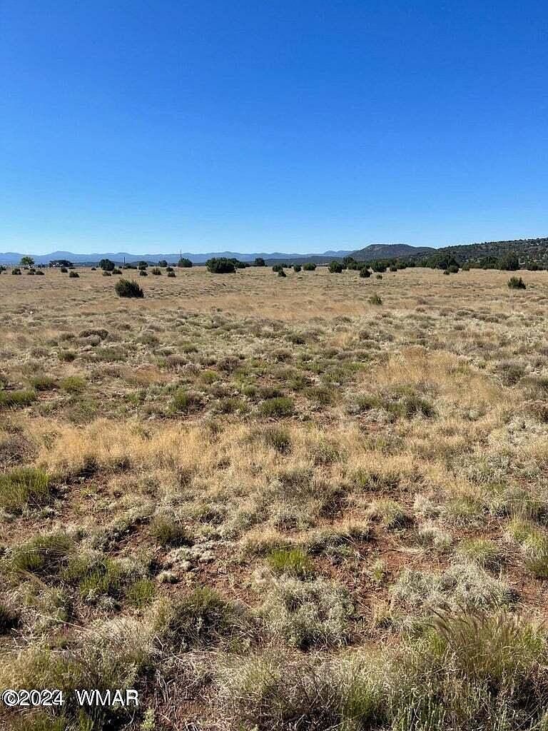 13 County Road 8006 Concho, AZ 85924  | Land/Lot