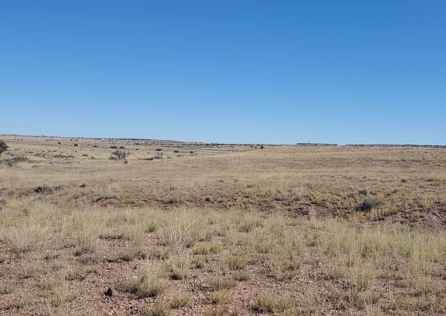 23 County Road 6030 Concho, AZ 85924  | Land/Lot