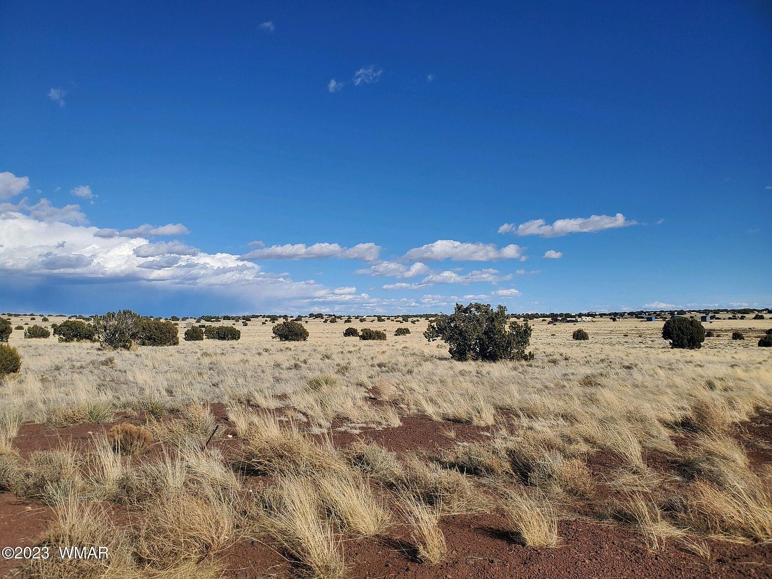 County Road 5105 Concho, AZ 85924  | Land/Lot