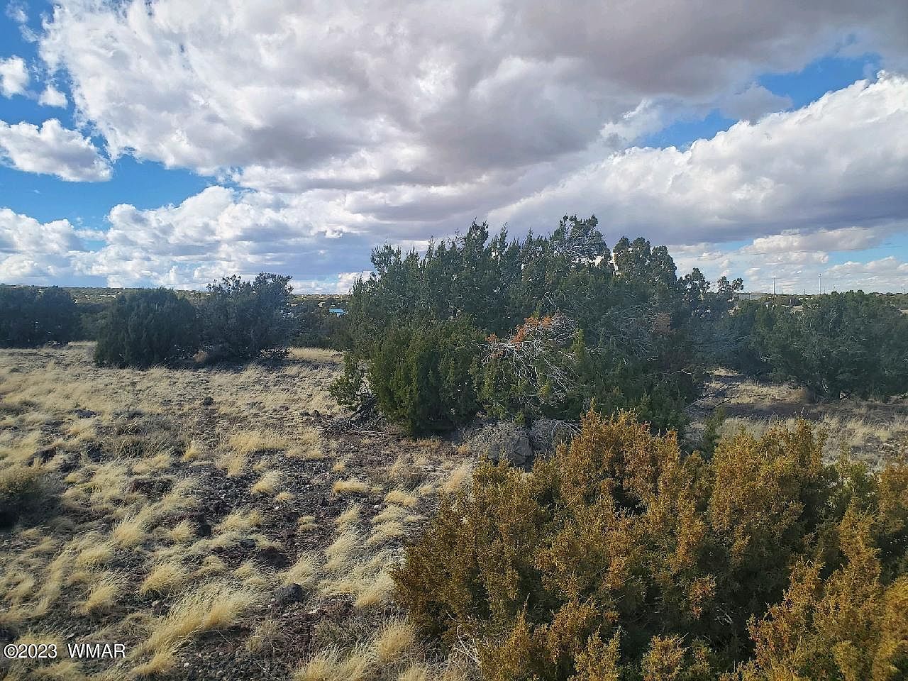 County Road 5166 Concho, AZ 85924  | Land/Lot