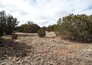 23 County Road 8021 Concho, AZ 85924 | Land/Lot