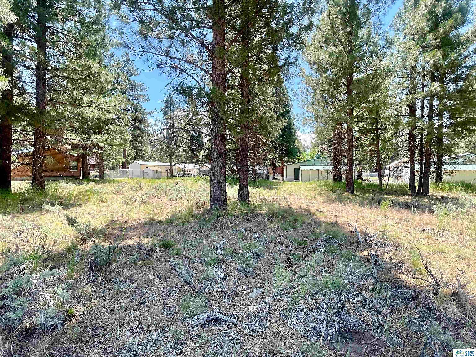 0 Cedar Way Susanville, CA 96130 | Land/Lot