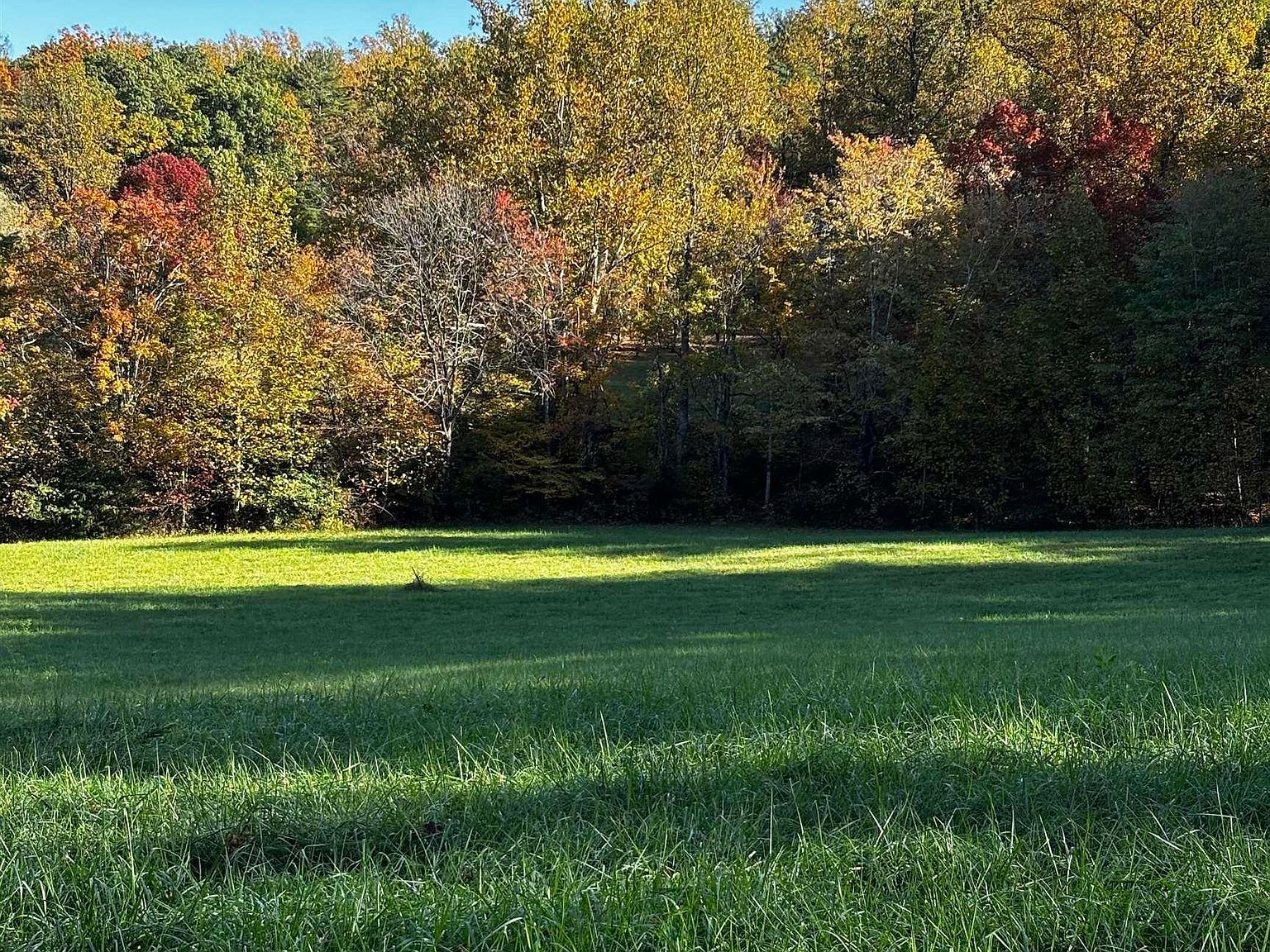 LOT-56G Turkey Ridge Rd Stanardsville, VA 22973  | Land/Lot