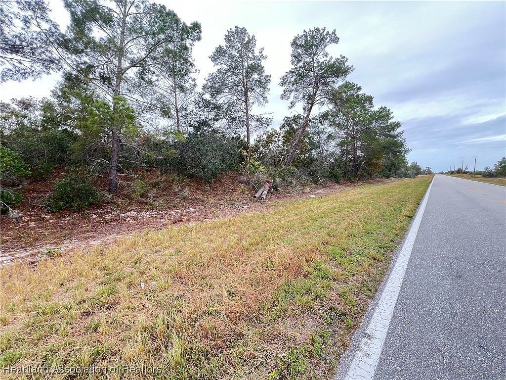 971 County Road 29 Lake Placid, FL 33852  | Land/Lot